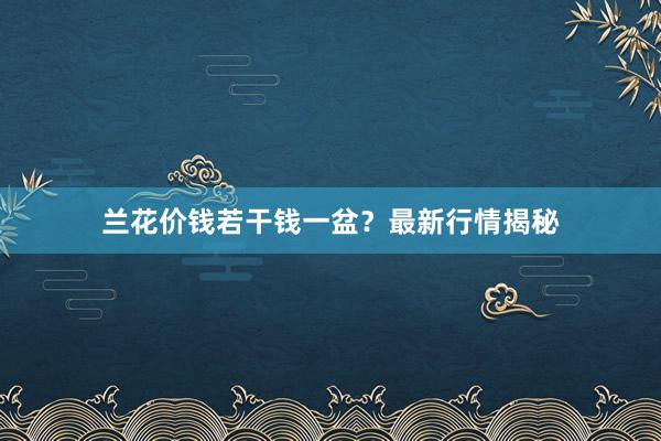 兰花价钱若干钱一盆？最新行情揭秘