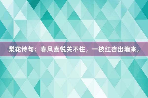 梨花诗句：春风喜悦关不住，一枝红杏出墙来。