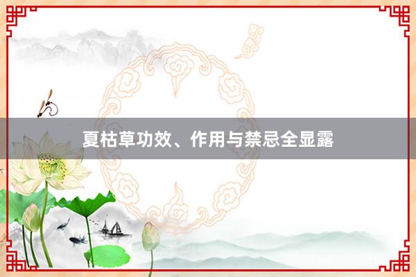 夏枯草功效、作用与禁忌全显露