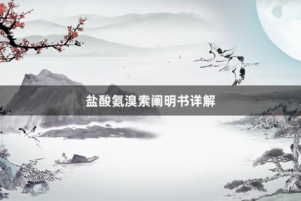 盐酸氨溴索阐明书详解